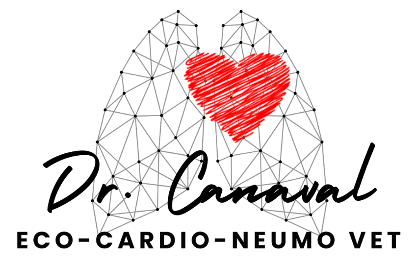 Dr. Canaval EcoCardioNeumoVet